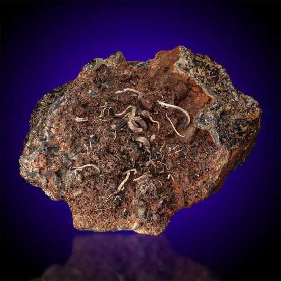 Silver-Jachymov | Krušné Hory | Karlovy Vary Region |  Czech Republic